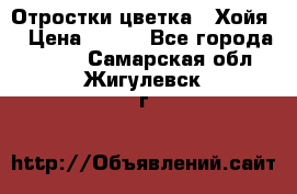 Отростки цветка  “Хойя“ › Цена ­ 300 - Все города  »    . Самарская обл.,Жигулевск г.